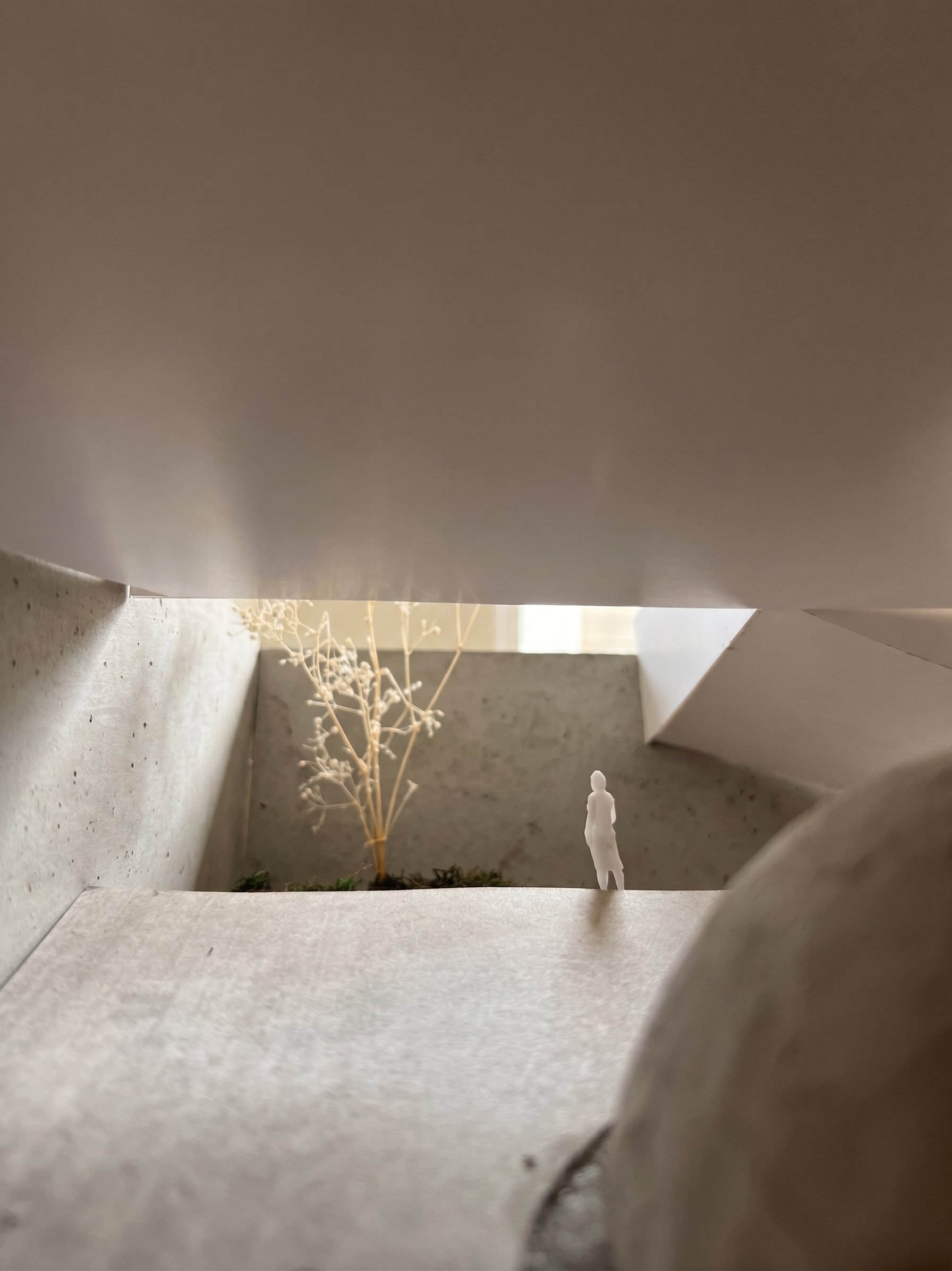 Model view — glimpse of the courtyard tree