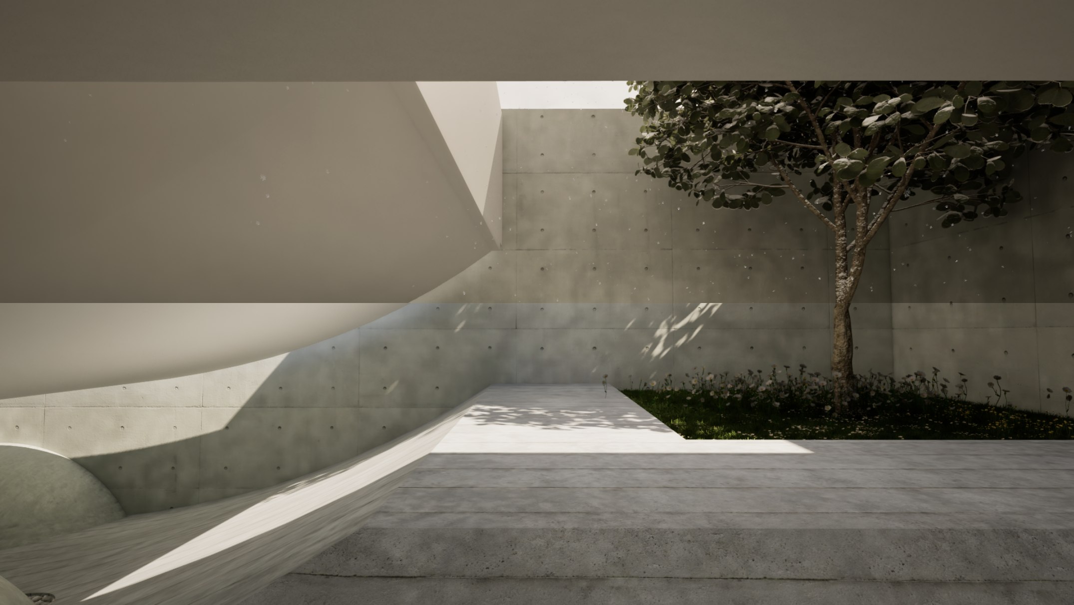 The clearing courtyard — tree against the concrete wall