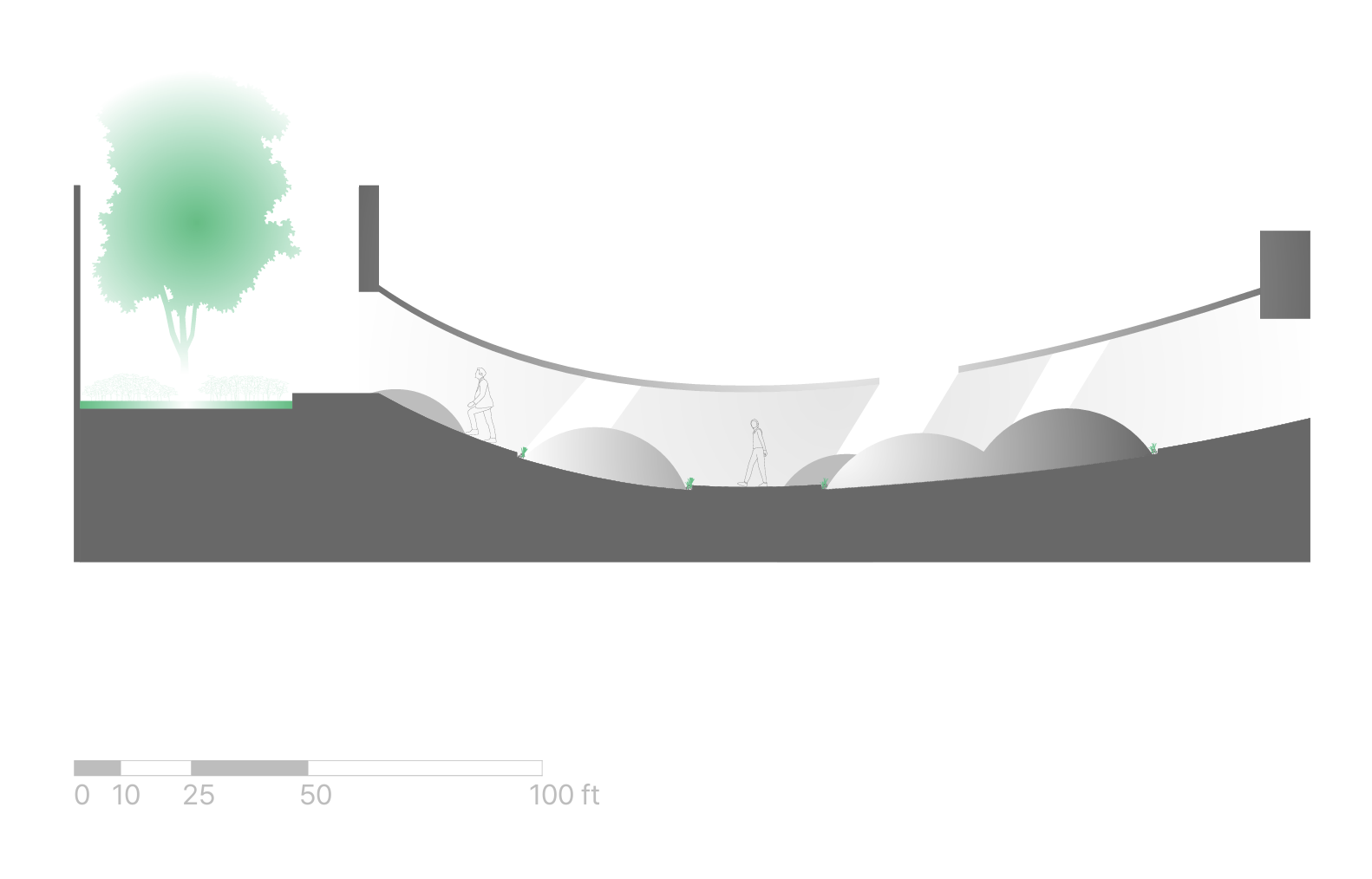 The Clearing section